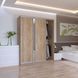 Шкаф купе Doros Сити Лайт Дуб Cонома 2 ДСП / 1 Зеркало 180х60х225 (41070010) 41070010 фото 1