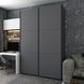Шкаф купе Doros G-Caiser Антрацит/Антрацит 2 ДСП / 3 части 160х60х240 (42005412) 42005412 фото 1